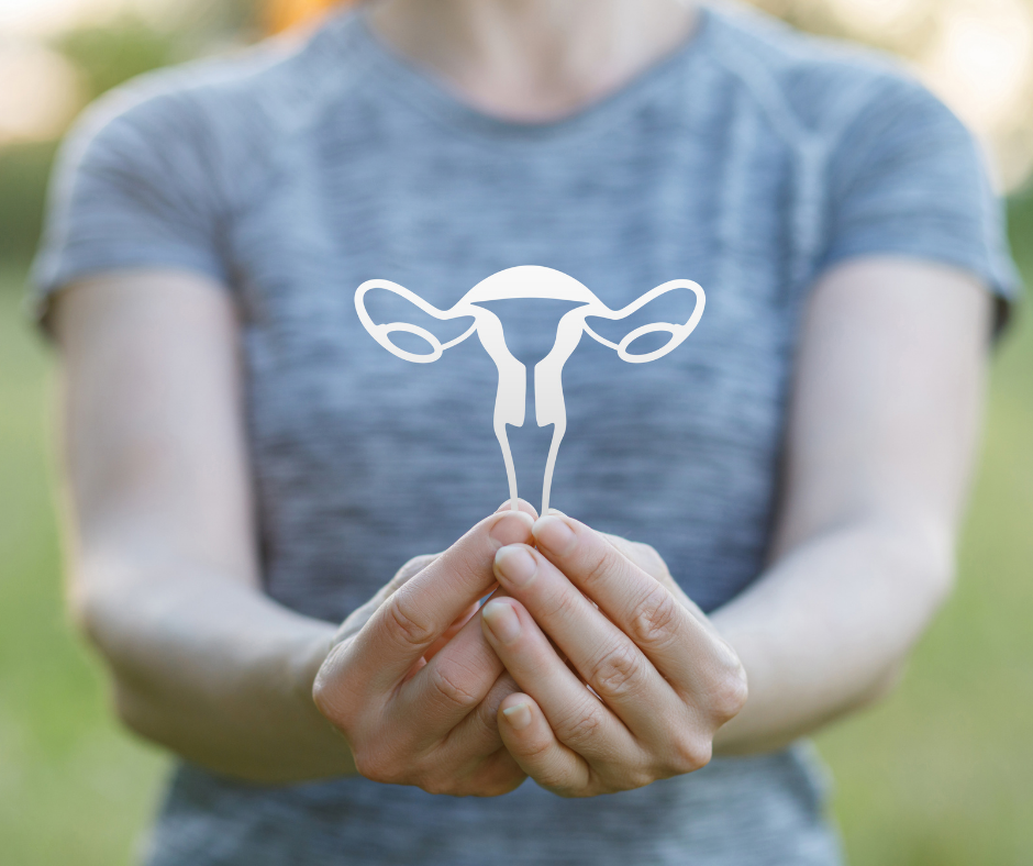 woman shows visual of uterus