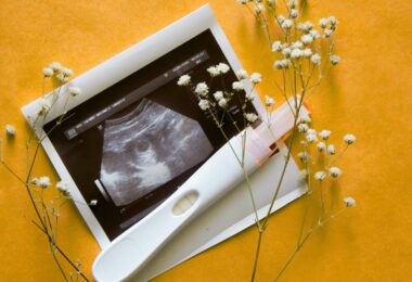 progesterone is a key hormone during pregnancy