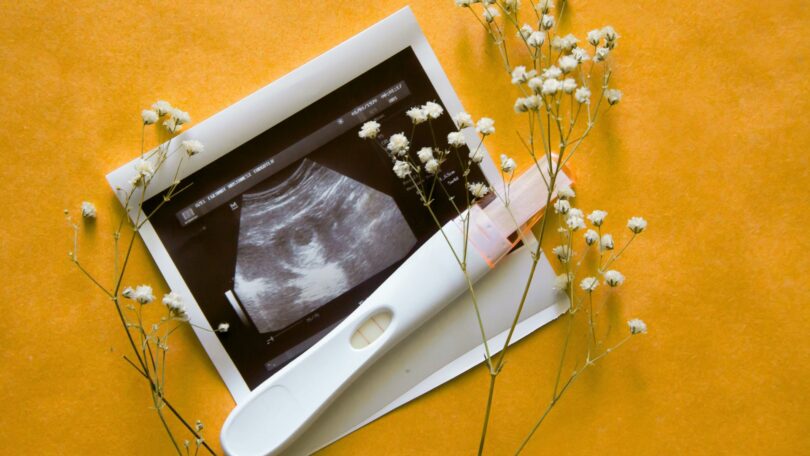 progesterone is a key hormone during pregnancy